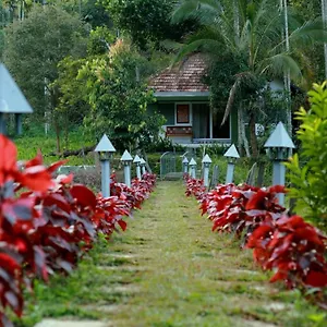  Resort Ayurnest Pool Wayanad India